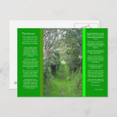 DESIDERATA Gras Road Postkarte (Vorne/Hinten)