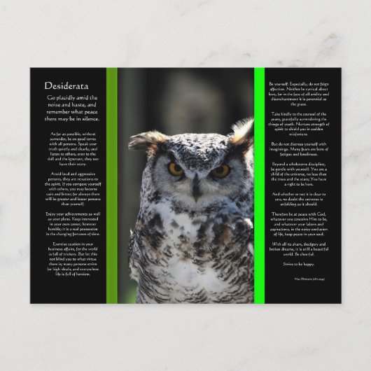 DESIDERATA Great Horn Owl Postkarte 5 (Vorderseite)
