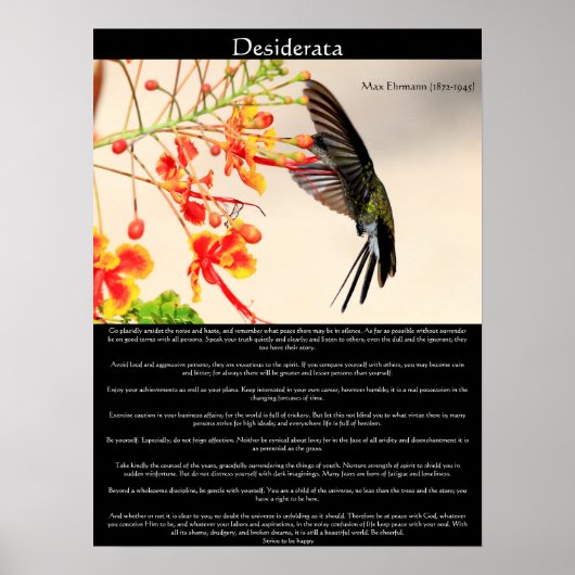 Desiderata Hummingbird belebt eine Blume Poster (Vorne)