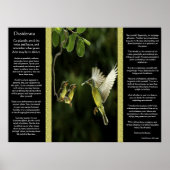 Desiderata Hummingbird Posters 2 Poster (Vorne)