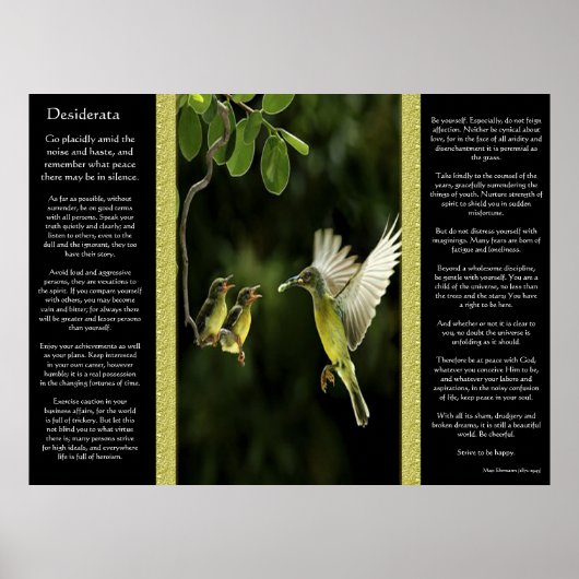 Desiderata Hummingbird Posters 2 Poster (Vorne)