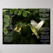 Desiderata Hummingbird Posters Poster (Vorne)