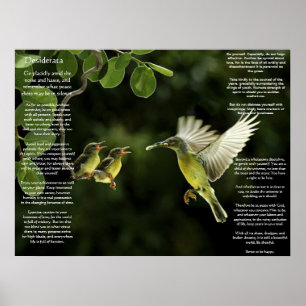 Desiderata Hummingbird Posters Poster