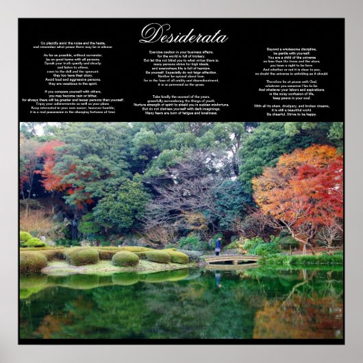 desiderata inspirational poster VON 8,99 (Vorne)