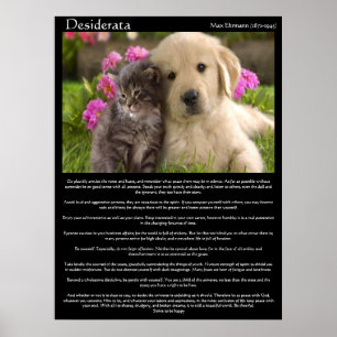 Desiderata kittens neben einem Welpenposter Poster