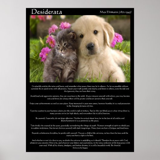 Desiderata kittens neben einem Welpenposter Poster (Vorne)