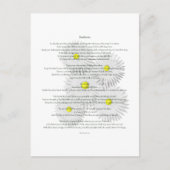 Desiderata mit Daisies Postkarte (Vorderseite)