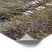 DESIDERATA Mountain Out House Posters Poster (Ecke)