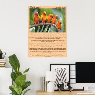 Desiderata orange und grüne kanarische Poster
