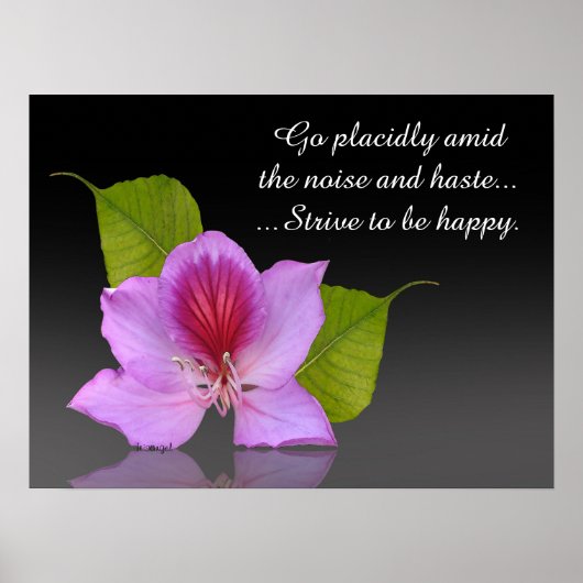 Desiderata Orchid Art Fotografie Inspiration Poster (Vorne)