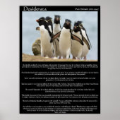 Desiderata Penguins Walking Posters Poster (Vorne)
