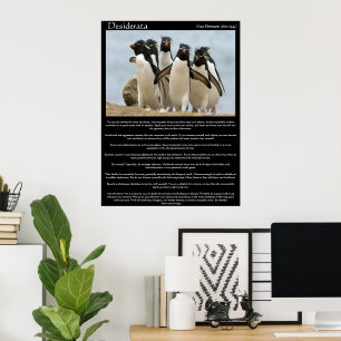 Desiderata Penguins Walking Posters Poster