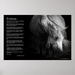 Desiderata - Pony Head and Mane von Fine Art Pony Poster