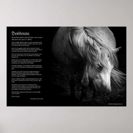 Desiderata - Pony Head and Mane von Fine Art Pony Poster (Vorne)