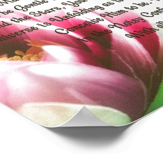 DESIDERATA Poster Max Ehrmann-Lotus Lilly Pad (Ecke)