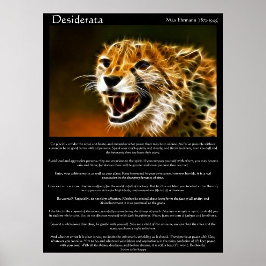 Desiderata Posters 13 Poster (Vorne)