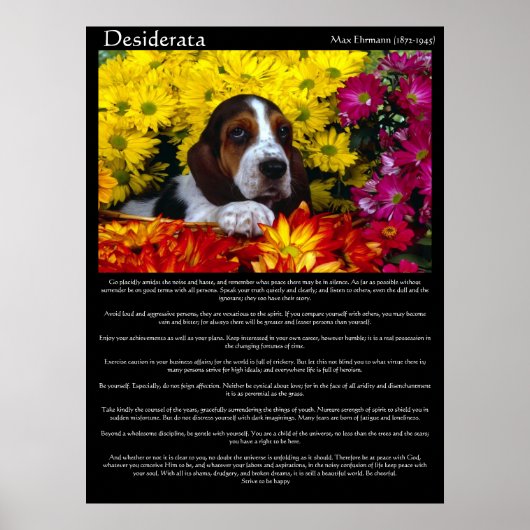 Desiderata Posters 6 Poster (Vorne)