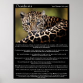 Desiderata Posters 8 Poster (Vorne)