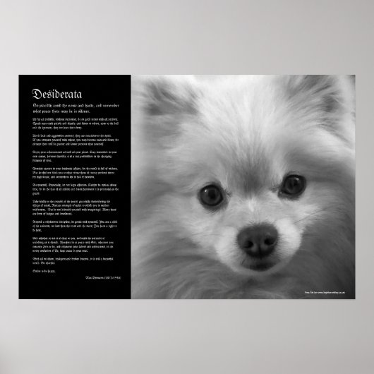 Desiderata - Puppy Art Spitz Poster (Vorne)