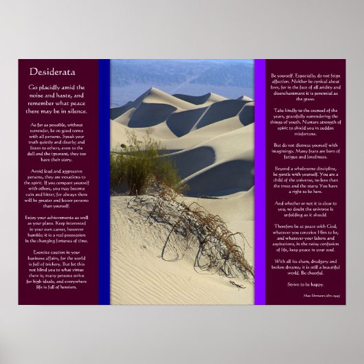 DESIDERATA Sand Dooms Posters Poster (Vorne)