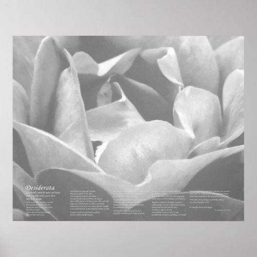 Desiderata - Satin Texture Rose in Schwarz und Wei Poster (Vorne)