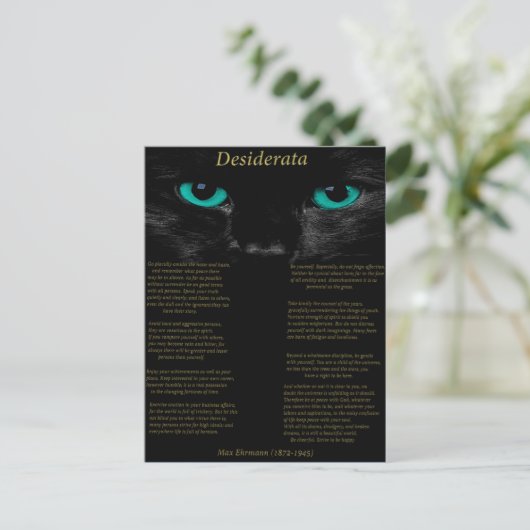 Desiderata schwarze Katze mit ihren türkisfarbenen Postkarte (Stehend Vorderseite)
