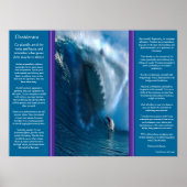 Desiderata Shark Face Posters Poster (Vorne)