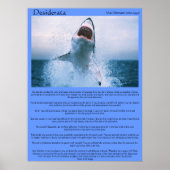 Desiderata Shark Jumping Posters Poster (Vorne)