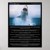 Desiderata shark jumping Posters Poster (Vorne)