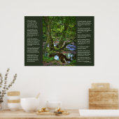 Desiderata - Spitchwick Creek Trees Poster (Küche)