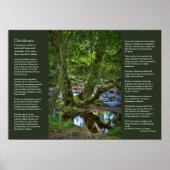 Desiderata - Spitchwick Creek Trees Poster (Vorne)