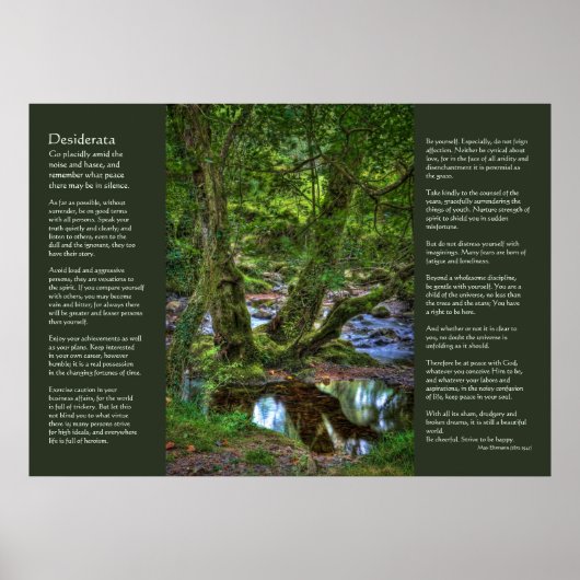 Desiderata - Spitchwick Creek Trees Poster (Vorne)