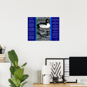 DESIDERATA sucht Duckposter Poster