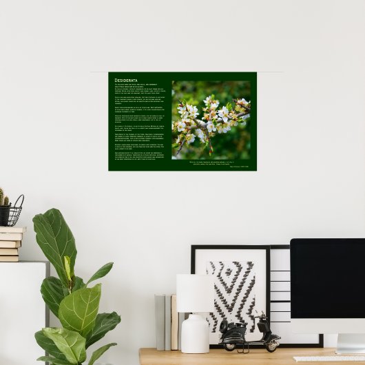 Desiderata - Sun-Dappled Spring Hawthorn Poster (Heimbüro)