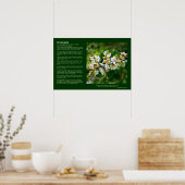 Desiderata - Sun-Dappled Spring Hawthorn Poster (Küche)