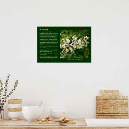 Desiderata - Sun-Dappled Spring Hawthorn Poster (Küche)