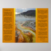 DESIDERATA Thermal Pools Posters Poster (Vorne)