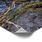 Desiderata Verse mit gefallenem Leaf im Wasser Poster (Ecke)