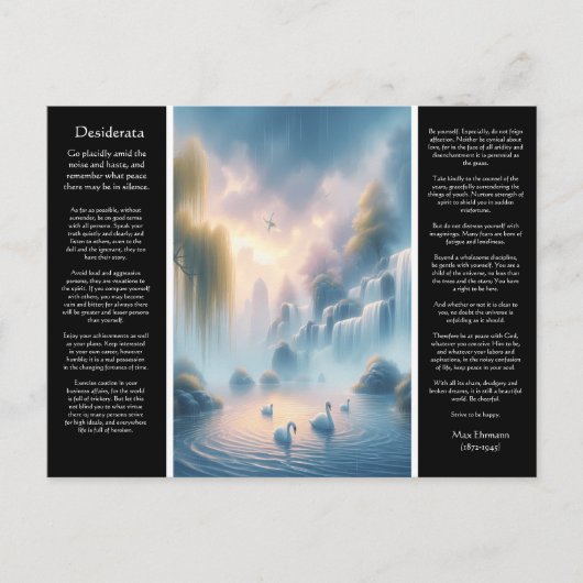 Desiderata Wasserfall Spispers Postkarte (Vorderseite)