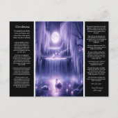 Desiderata Wasserfall: Willow Heart Falls Postkarte (Vorderseite)
