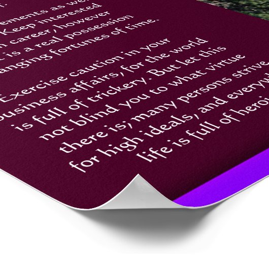 DESIDERATA Wasserfälle Poster 2 (Ecke)