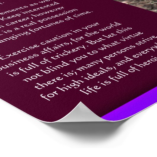 DESIDERATA Wasserfälle Poster 6 (Ecke)