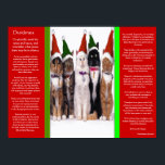 DESIDERATA Weihnachtskatzen Plakate<br><div class="desc">Die ganze Desiderata von Max Ehrmann: Gehe ruhig inmitten von Lärm und Eile... mit einem atemberaubenden Blick auf Weihnachtskatzen mit rot-grünen Hüten, die nebeneinander mit weißem Hintergrund sitzen. Die Verse sind jung, erwachsen seit den 1920er Jahren inspiriert und sind heute so beliebt wie heute. Es wurde als Geschenk von liebevollen...</div>