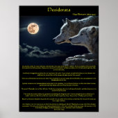 Desiderata weiße Wölfe auf einem Plakat auf der Be (Vorne)