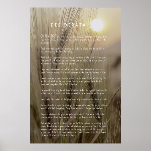 DESIDERATA Wheat Field Poster (Vorne)