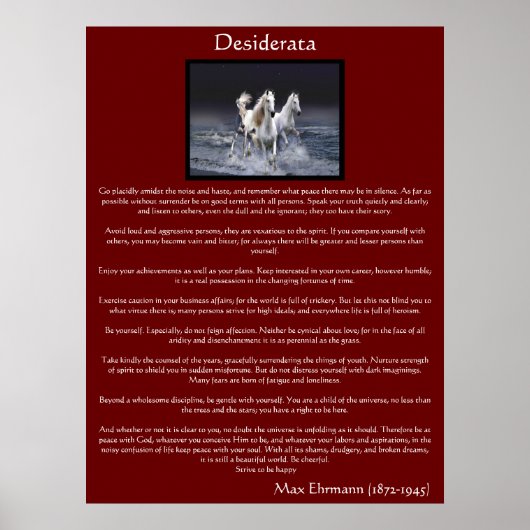 Desiderata white arabian Pferdeposters Poster (Vorne)