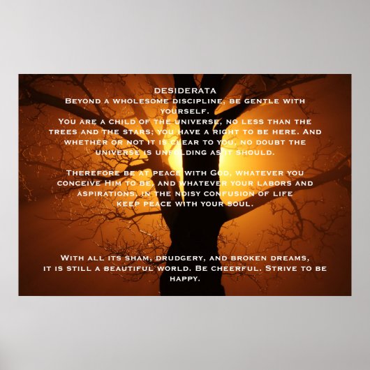 DESIDERATA Willow Tree Posters Poster (Vorne)