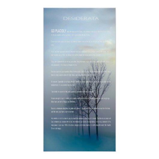 DESIDERATA Winterbaumen Poster (Vorderseite)