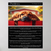 Desiderata: Wo Frieden lebt Poster (Vorne)