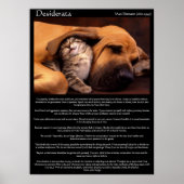 Desiderata Young Liebe Posters 2 Poster (Vorne)
